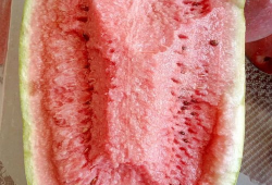 吃瓜爆料的真假如何辨别