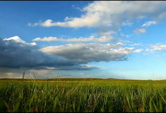 草原风景视频,碧波荡漾的绿色画卷