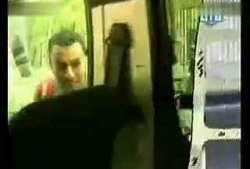 嘿咻视频,探索嘿咻视频背后的情感与生活