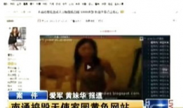 淫秽视频网址,追踪网址背后的黑暗世界