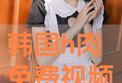 h视频免费,免费体验H视频的精彩世界