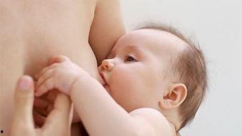 亲乳头视频,情感共鸣与亲子关系的独特视角