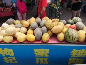 青海吃瓜爆料官方入口,官方入口揭秘，带你探秘幕后真相