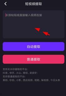 视频如何去水印