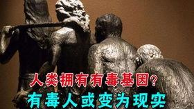 久操视频中文字幕,运动背后的科学原理与技巧